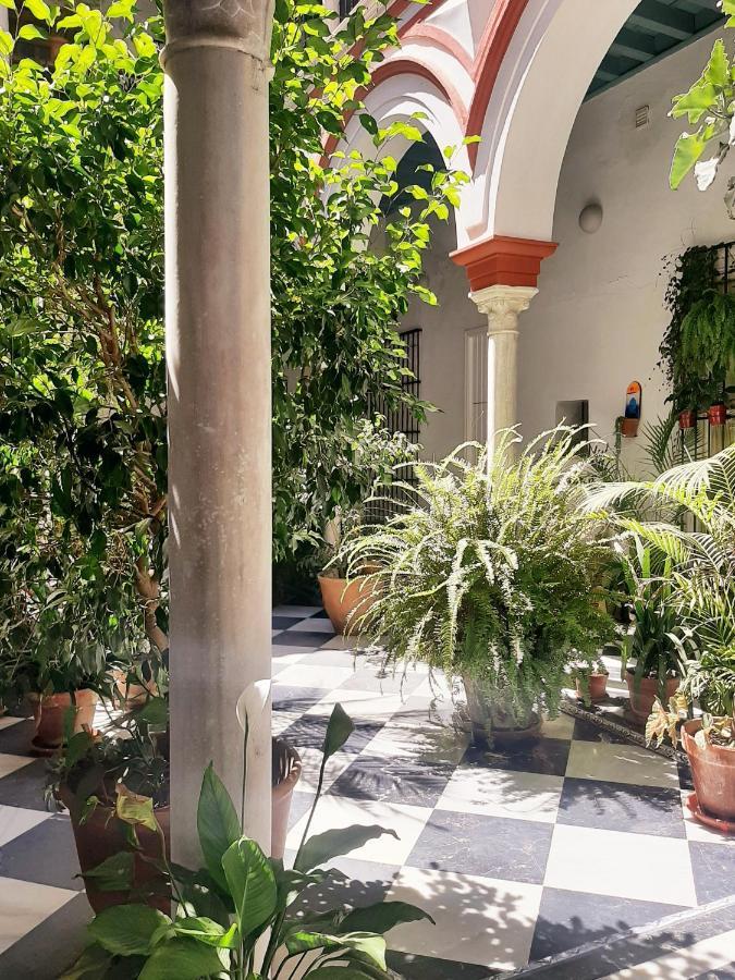Apartmán Downtown Loft In A 16Th Century Convent Sevilla Exteriér fotografie