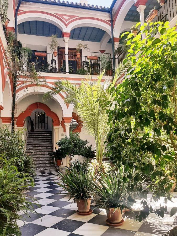 Apartmán Downtown Loft In A 16Th Century Convent Sevilla Exteriér fotografie